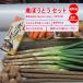 [ зима подарок ] Fukaya ..... комплект [ Fukaya лук порей / gobou / морковь / таро /.......4 еда ( суп есть ) распродажа период :12 месяц c отправка предположительно включая доставку ]