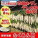 赤城おろし 葉切り干し大根 8Kg たくあん用大根・秘伝のぬか付き【送料別 同梱不可】
