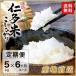 令和元年産 新米 源流 仁多米こしひかり 5kg 6ヶ月コース 定期便 白米 玄米 送料無料 産地直送 奥出雲 島根県産 特産品