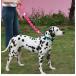 �� ���[�h ���^�� ��^�� 80cm ���� �ۃ��[�v ��҂� 360�x��]�t�b�N ���܂�h�~ ��v ���� ��������h�~ ������� ���U�� �h�b�O���[�h �֘A�摜5
