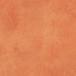 belbien٥ӥ  A-851