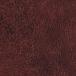 󥲥 REATEC ꥢƥåTN-5689
