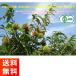 �L�@�ނ��ÌI 80g�~20�܃Z�b�g �Ö����E�����E�ۑ������� �����c���� �֘A�摜3