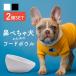 �y�b�g�t�[�h�{�E�� �y�b�g�t�[�h�{�[�� ���� 2�� �t�����`�u���h�b�O �G�T�M �� �L �H�� ������ �Z���~�b�N ����