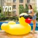 ������ �t���[�g ��^ �S��170cm �A�q�� �{�[�g �傫���T�C�Y ������ ���킢�� ���� �v�[�� �C���� �r�[�` �Ή� ����