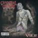 ͢���� CANNIBAL CORPSE / VILE ��COLORED�� [LP]