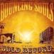 ͢ BOUNCING SOULS / GOLD RECORD [CD]