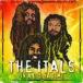 ͢ ITALS / IN A DIS YA TIME [CD]