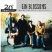 ͢ GIN BLOSSOMS / BEST OF [CD]