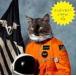 ͢���� KLAXONS / SURFING THE VOID [CD]
