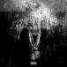 ͢ BIG SEAN / DARK SKY PARADISE DLX [CD]