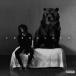 ͢ 6LACK / FREE 6LACK [CD]