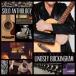 ͢ LINDSEY BUCKINGHAM / SOLO ANTHOLOGY BEST OF LINDSEY BUCKINGHAM [CD]