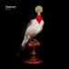  зарубежная запись DEETRON / FABRIC 76 [CD]