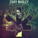 ͢ ZIGGY MARLEY / ZIGGY MARLEY IN CONCERT [CD]