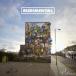  зарубежная запись RUDIMENTAL / HOME [CD]