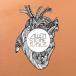 ͢ ALLEN STONE / RADIUS DIG [CD]