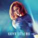 ͢ KATY B / LITTLE RED [2LP]