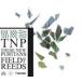 ͢ THESE NEW PURITANS / FIELD OF REEDS [CD]