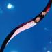 ͢ BREAKBOT / STILL WATERS [CD]