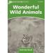 Dolphin Readers Level 3 Wonderful Wild Animals Activity Book
