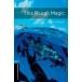 Oxford Bookworms Library 3rd Edition Stage 5 This Rough Magic