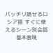 �o�b�`���b���郍�V�A�� �����Ɏg����V�[���ʉ�b��{�\��