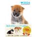 2024 year version Schedule Book DOG