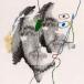 quickly,quickly / The Long and Short of It [CD]