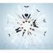 Snow Man / Snow Mania S1���̾��ס� [CD]