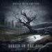 dom* Martin / Bear lido* in * The *he il [CD]