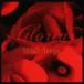 GLORIA / SEOUL Tango [CD]