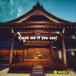 ȥΡ / Catch me if you can? [CD]