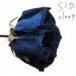 / sleep̾ס [CD]