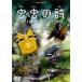 ����λ� RAINFOREST STORY [DVD]