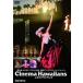 sinema Hawaiian z[DVD]
