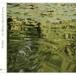flag.frog / Secrets of the lake|Foreign sun [CD]