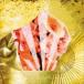 Wienners / GOKOH̾ס [CD]