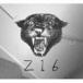 THE ZOOT16 / Z16 [CD]