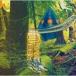 Bird Bear Hare and Fish / Moon Boots���̾��ס� [CD]