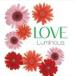 Luminous / LOVE [CD]