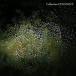Collection CONNNECT( время ограничено запись ) [CD]