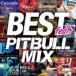  лучший feat.pitobru* Mix ( специальный цена запись ) [CD]