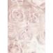  нет ..~ romances sans paroles ~ [DVD]