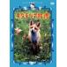  kita kitsune история [DVD]