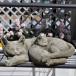  Британия производства Stone производства [ кошка. родители .]cat украшение кошка двор садоводство сад садоводство смешанные товары орнамент модный украшение вес 9kg бесплатная доставка 