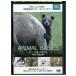 DVD BBC EARTH animal * baby . raw. . something long language rental ZP03994