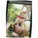 DVD фильм версия mamesiba один . прокат ZY02007