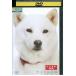 DVD kai kun день мир прокат ZZ03345