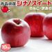  apple with translation 10kg Aomori prefecture production si nano sweet cool flight designation 10 kilo ..si nano s.-to apple home for affordable goods trial raw meal for SDGs fruit fruit Apple 